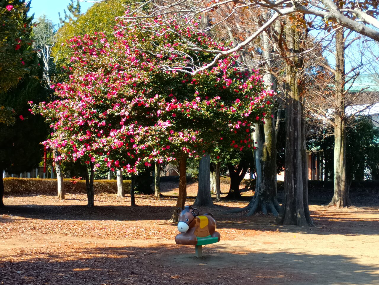 2026わんぱくランド閉園