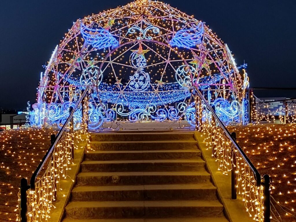 2026マリーゴールドの丘