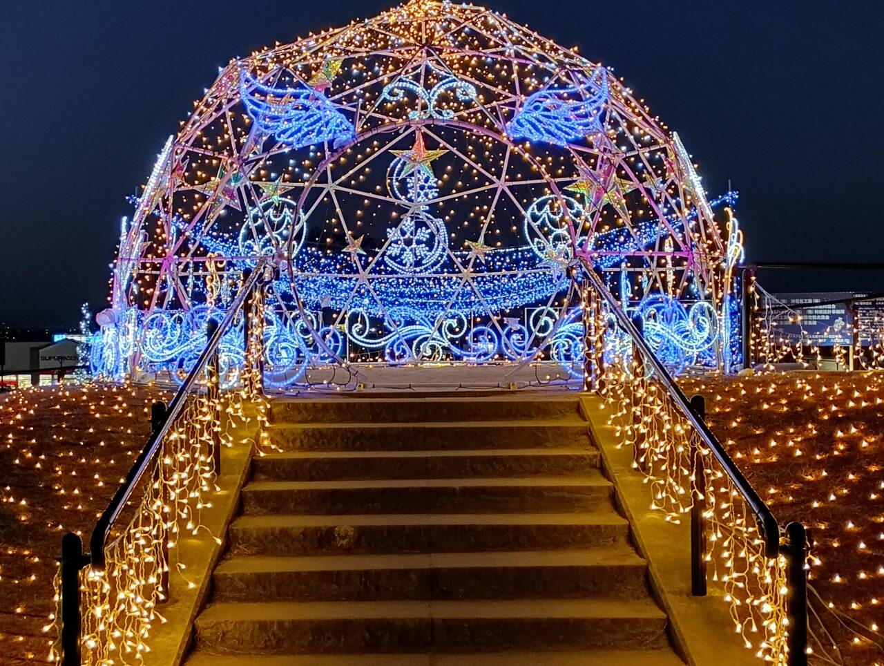 2026マリーゴールドの丘