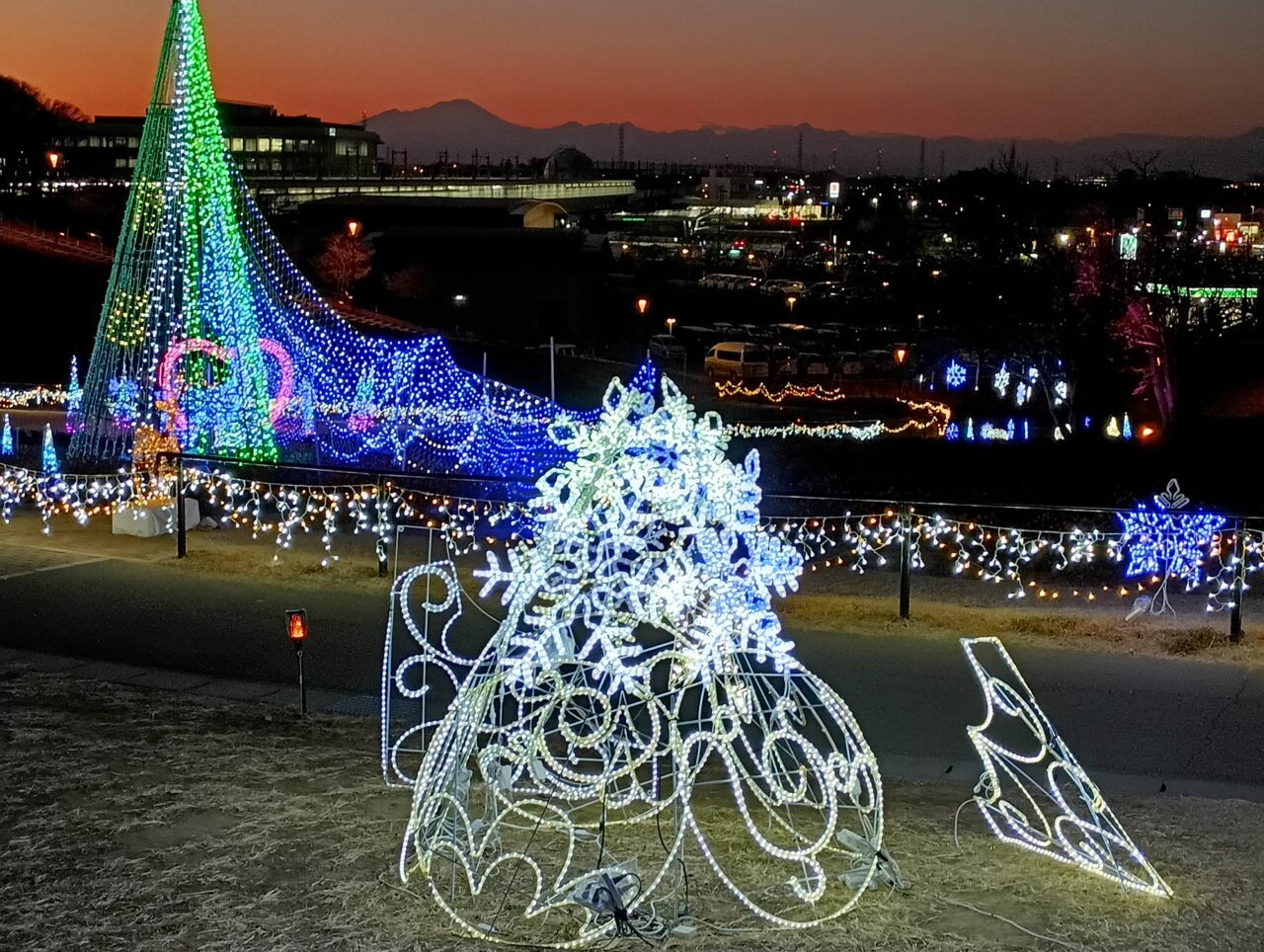 2026マリーゴールドの丘