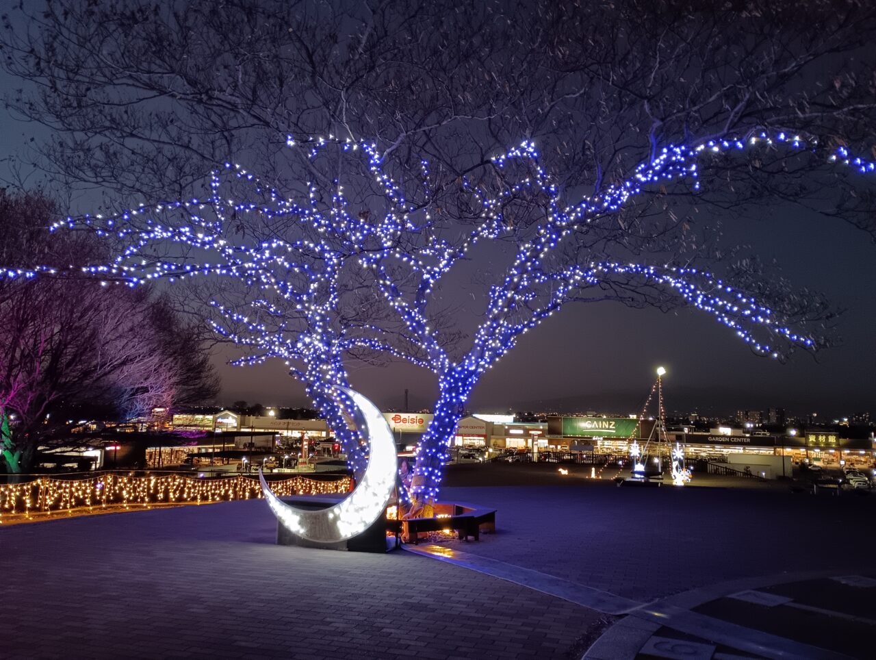 2026マリーゴールドの丘