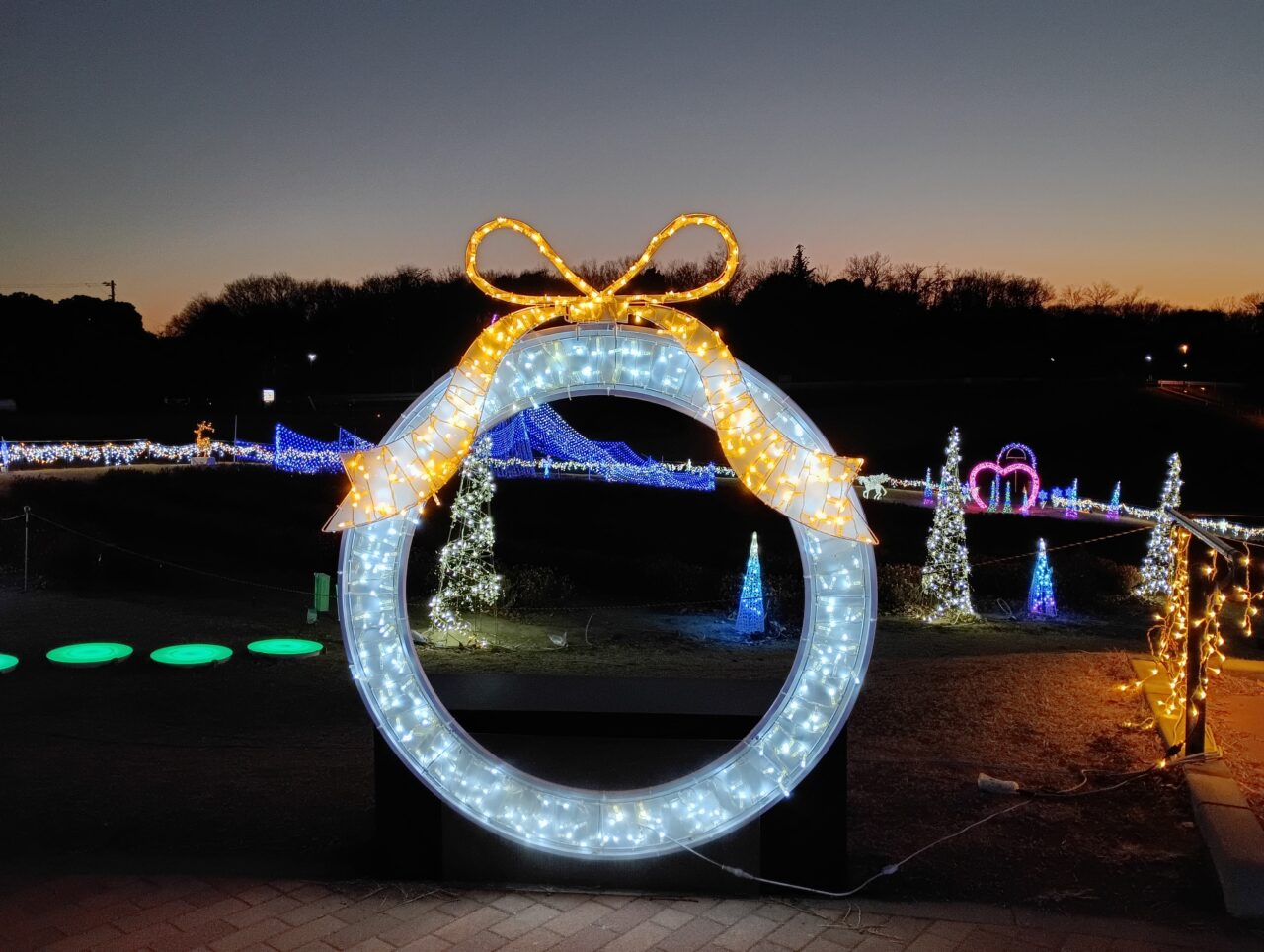 2026マリーゴールドの丘