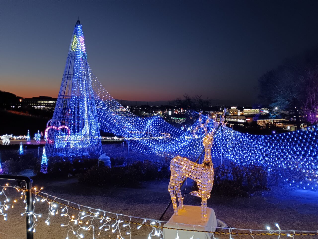 2026マリーゴールドの丘