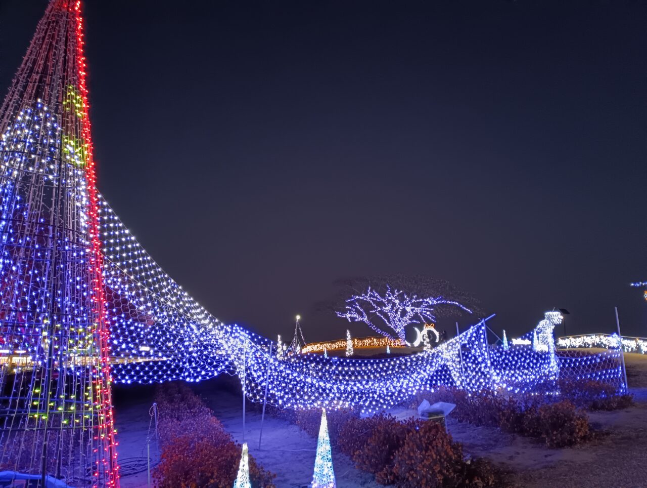 2026マリーゴールドの丘