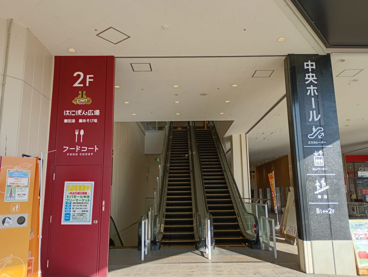 2026ビジョンメガネ