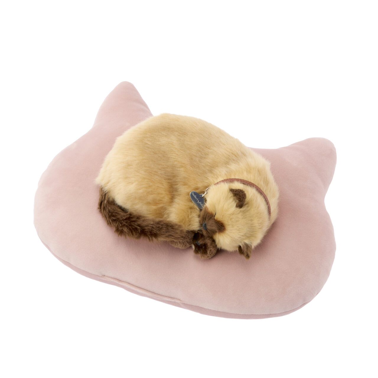 2026カインズにゃん祭り