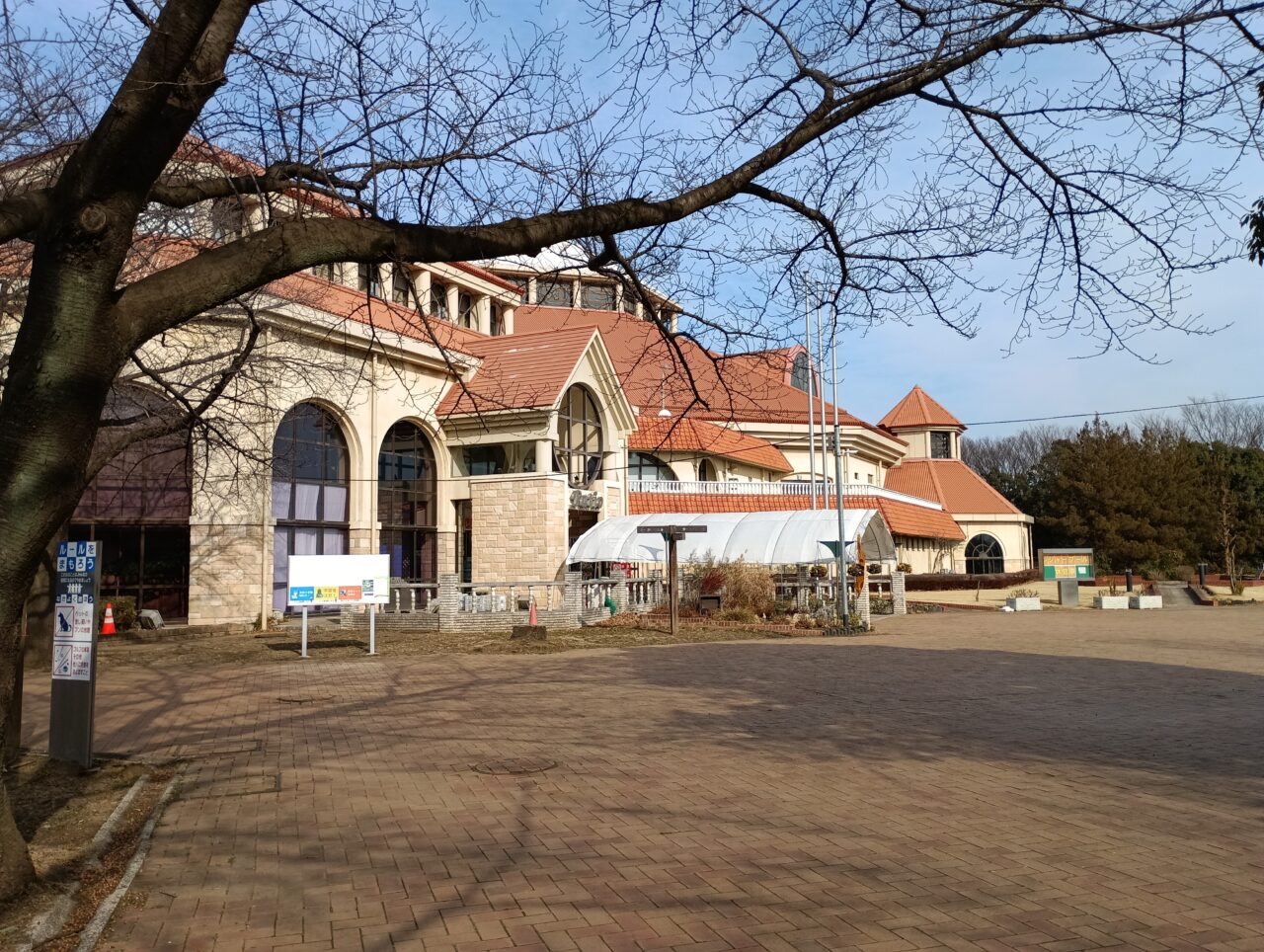 2026パティオ冬野菜＆こどもまつり