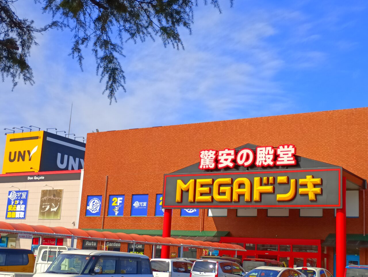 2026かき祭り・メガドンキ