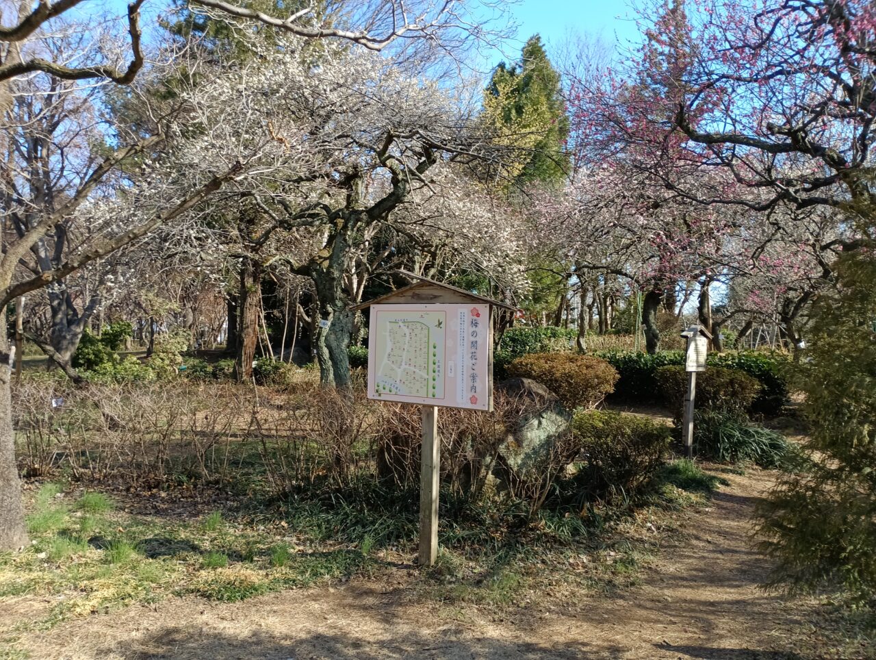 2026緑の王国春まつり