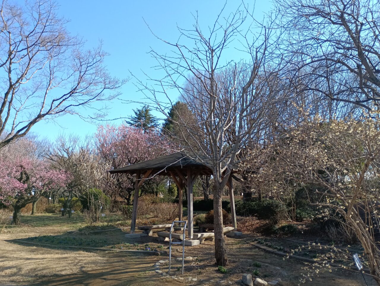 2026緑の王国春まつり