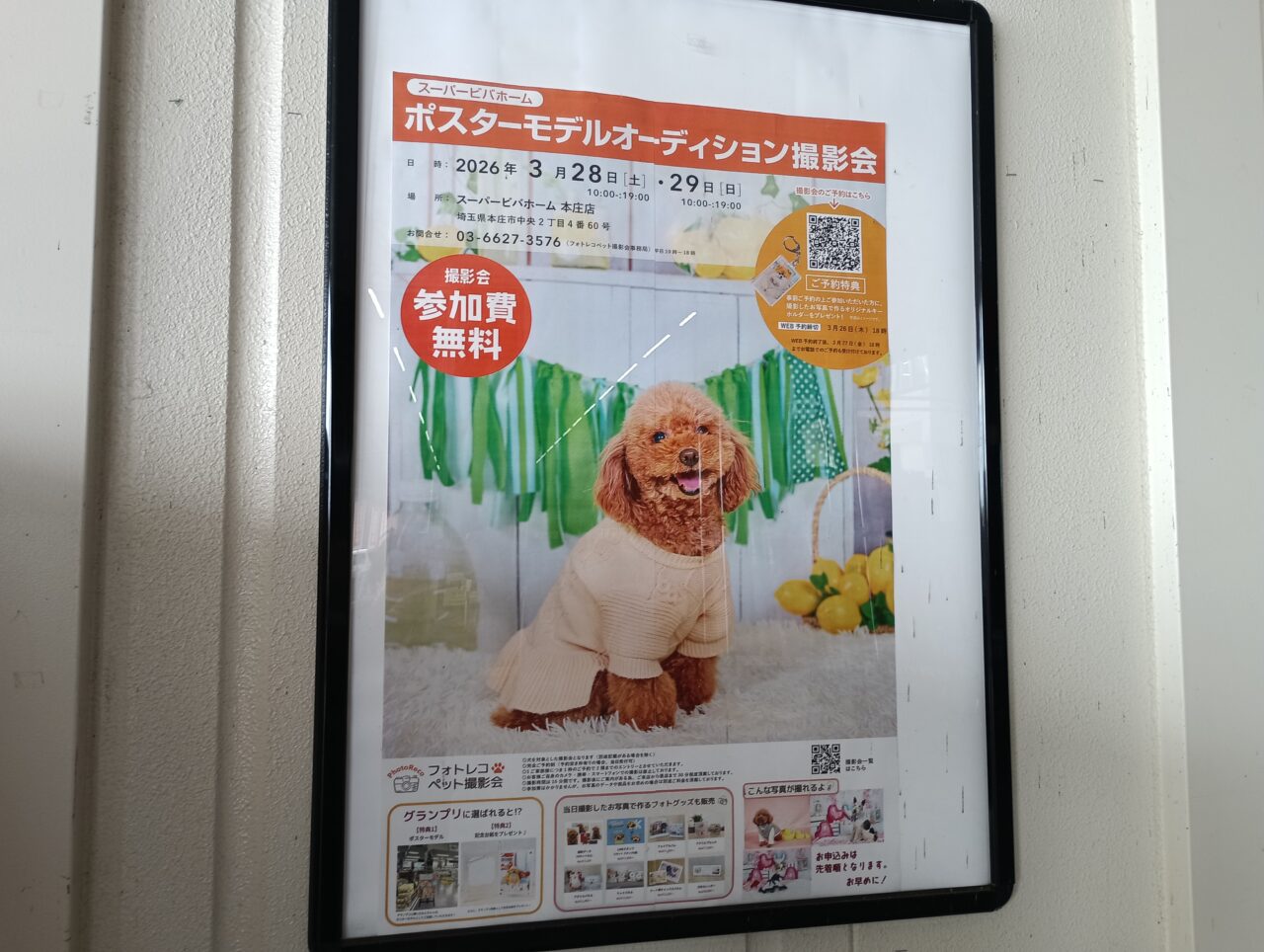 2026スーパービバホーム本庄店ペット撮影会