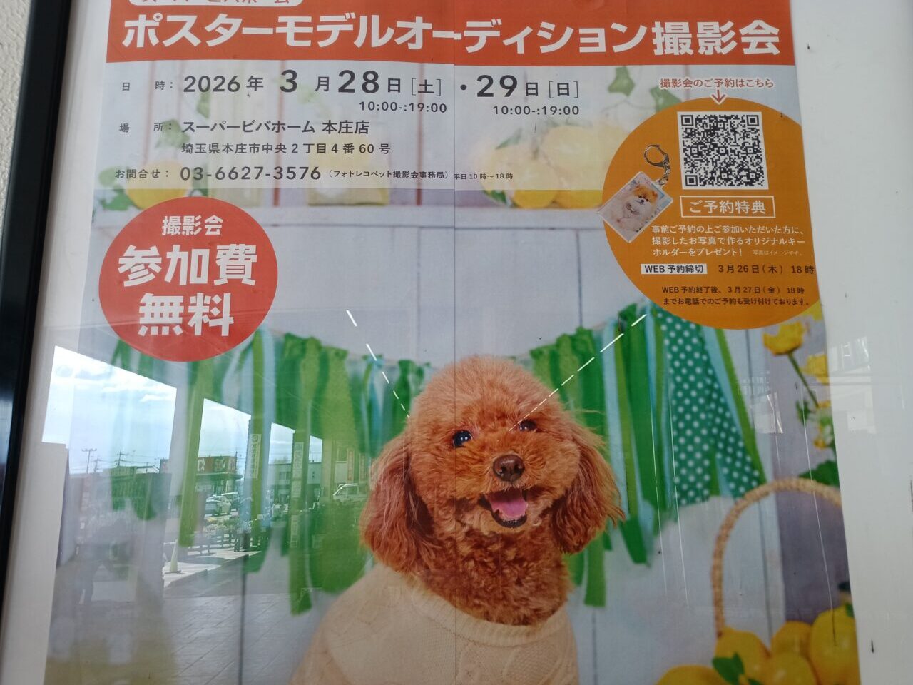 2026スーパービバホーム本庄店ペット撮影会