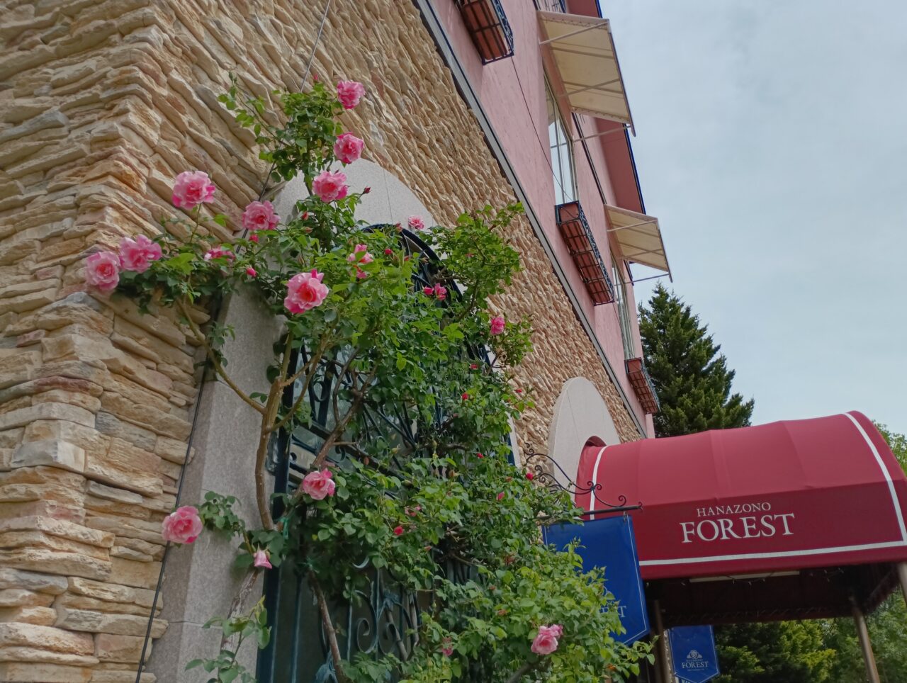 2026花園フォレストGW