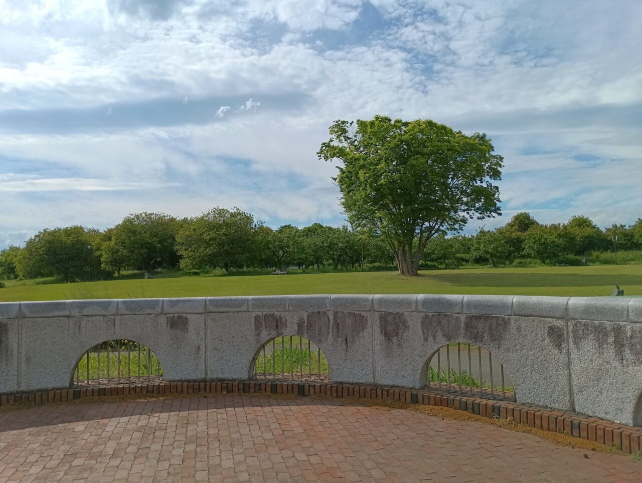 2026本庄総合公園春まつり