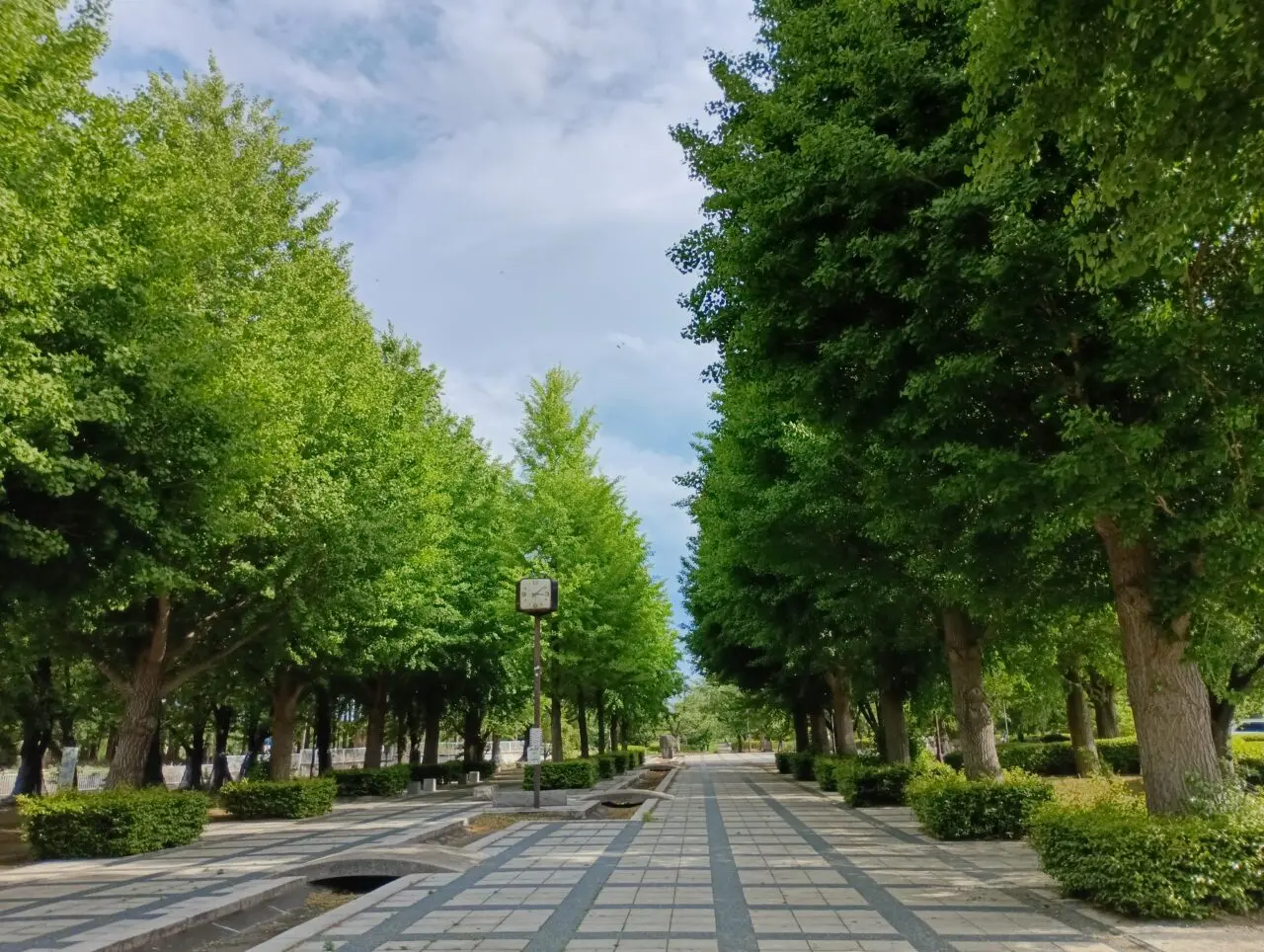 2026本庄総合公園春まつり
