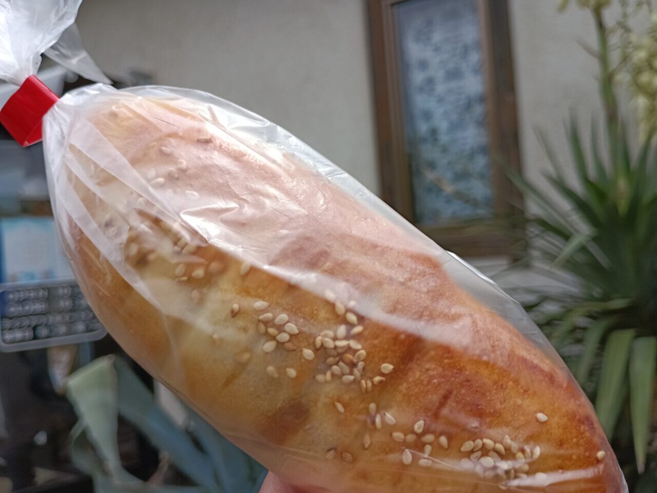 2026コパンヤ