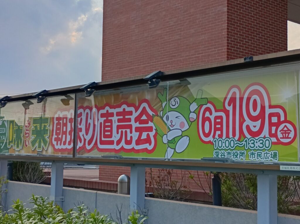2026深谷市役所とうもろこし直売