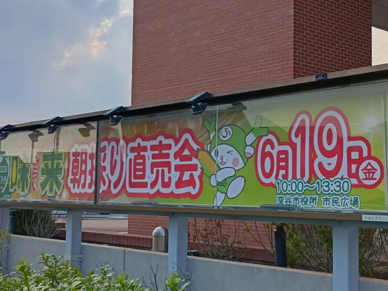 2026深谷市役所とうもろこし直売