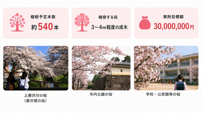 2026深谷の桜、復活プロジェクト
