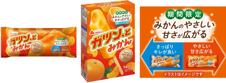 2026ガツンとみかん秋冬発売
