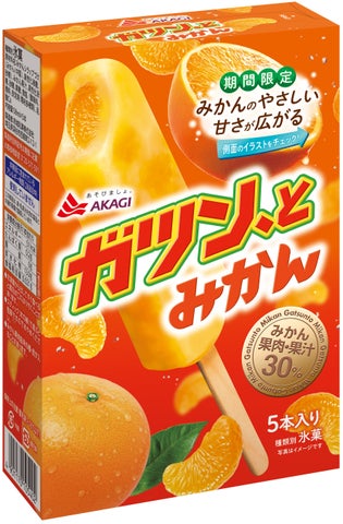 2026ガツンとみかん秋冬発売
