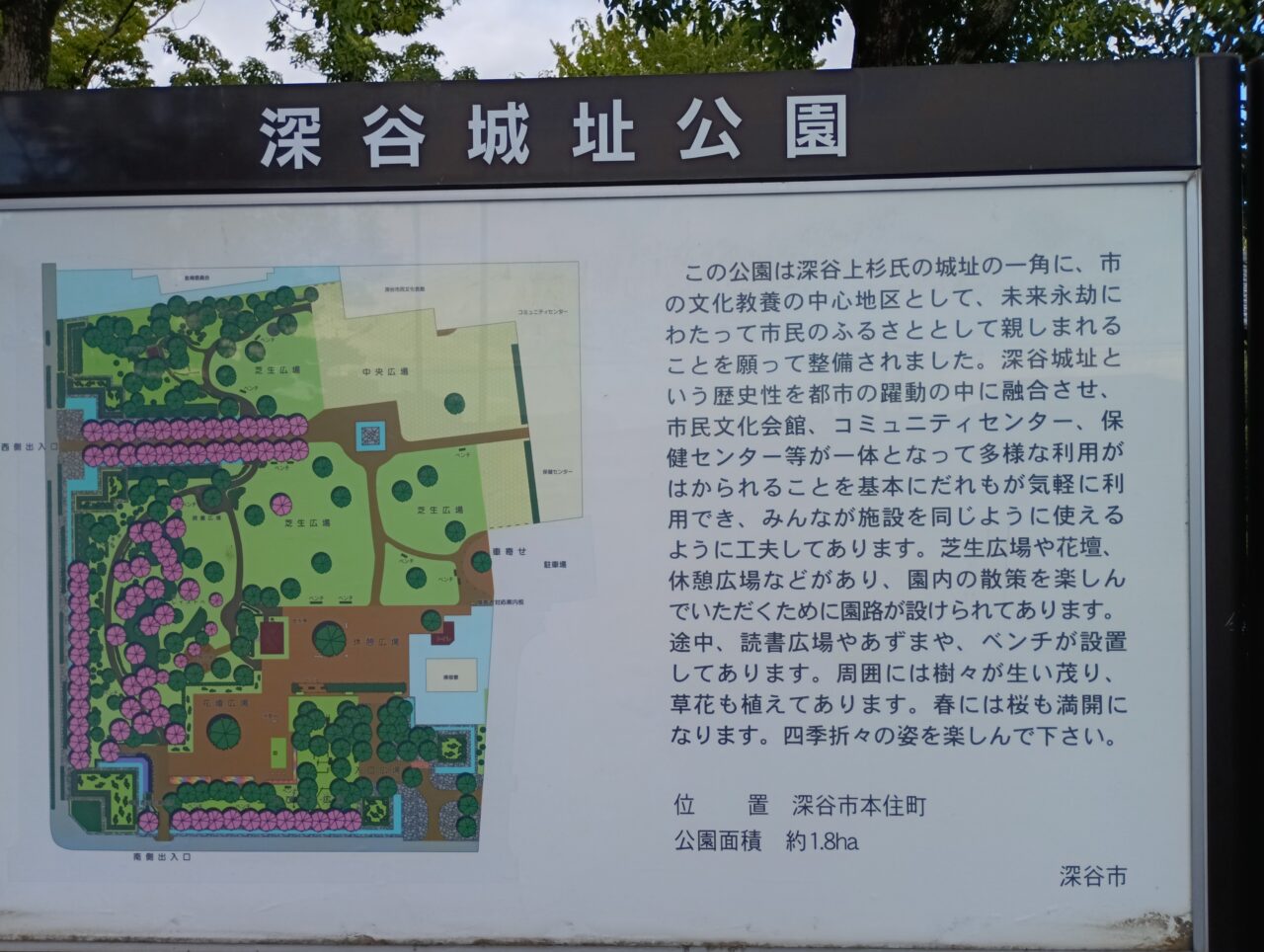 2026深谷城址公園茶道体験教室