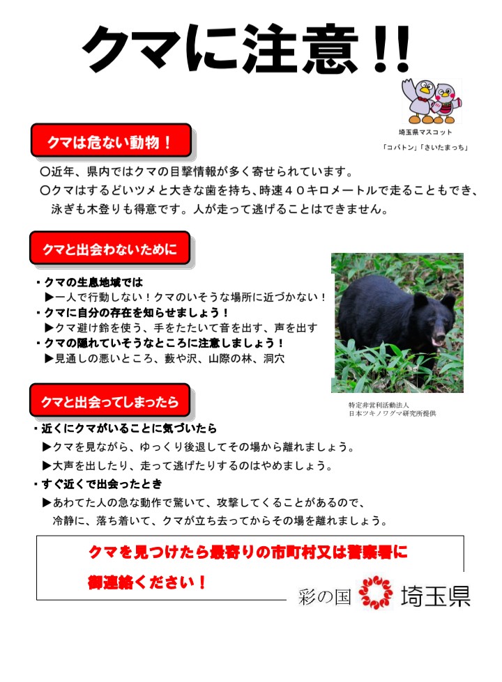 202608クマ目撃情報