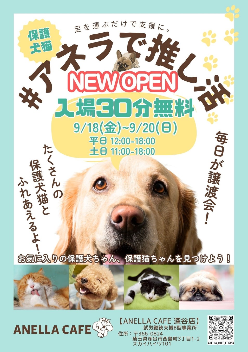 2026アネラカフェオープン