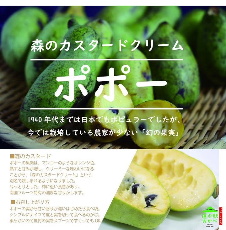 202609道の駅おかべポポー入荷